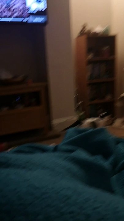 Kitten Leaps to Play Fetch