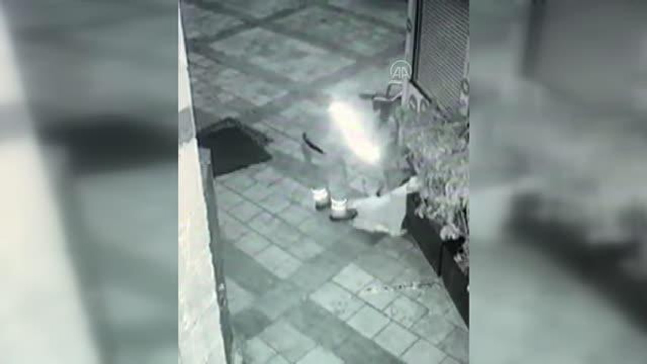 Bodrum'da temizlik personelinin üşüyen köpeğin üstünü örttüğü anlar kamerada