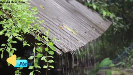 Heavy Rain 1 Hours for Sleeping, Relax, Study, insomnia, Reduce Stress. Heavy Rain Sounds