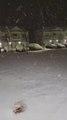 Person Witnesses First Snowfall in Decade in South Carolina City