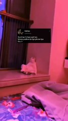 Pdhne ke liye kisne kisne phone liya tha