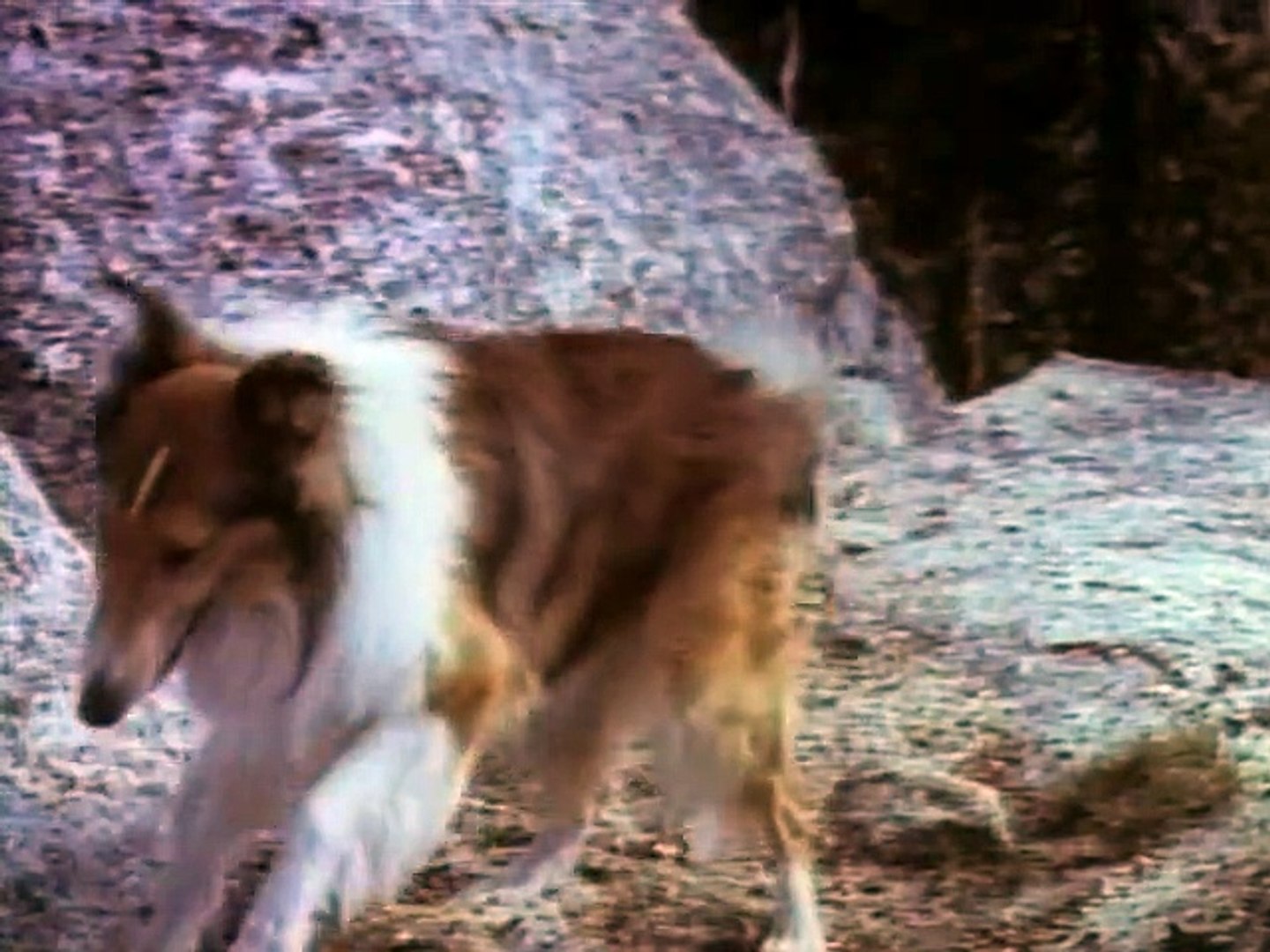 LASSIE - THE PAINTED HILLS - FULL MOVIE