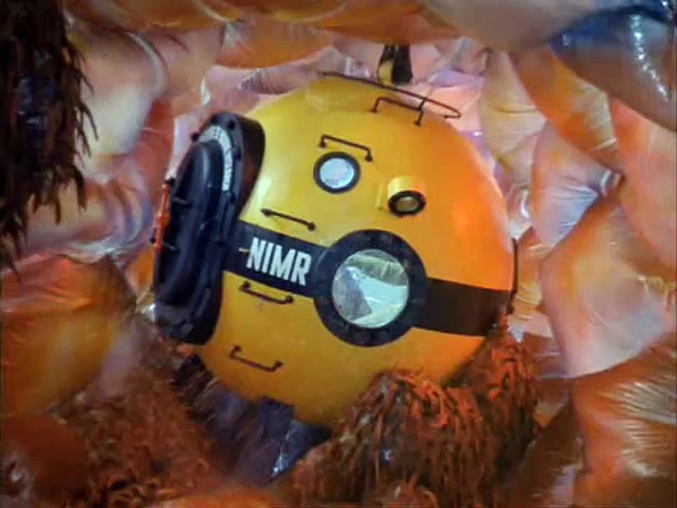 Viaje al fondo del mar -2x01- Jonah and the Whale (Jonás y la ballena)