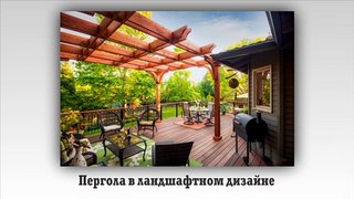 Пергола в ландшафтном дизайне