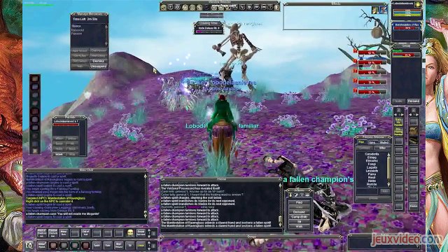 Looking for Games Saison 2 - La nostalgie : le MMO à ses débuts (EN)