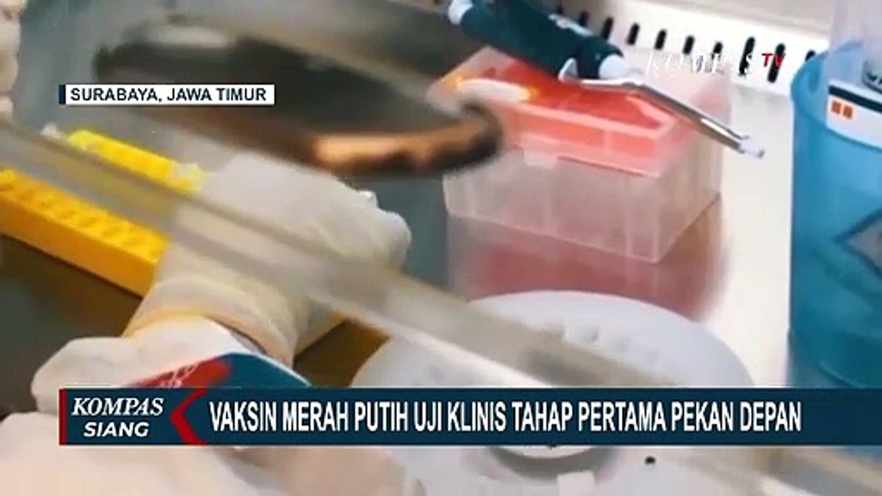 Sudah Dapat Persetujuan BPOM, Vaksin Merah Putih Siap Uji Klinis Tahap Pertama Pekan Depan!