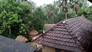 Rainfall || Indian Monsoons Rainfall | Relaxing Rainfall