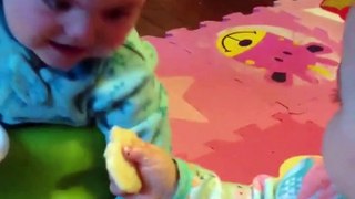Sneaky Baby Thieves - Those sneaky lil' nuggets! funny videos