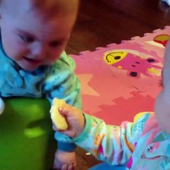 Sneaky Baby Thieves - Those sneaky lil' nuggets! funny videos