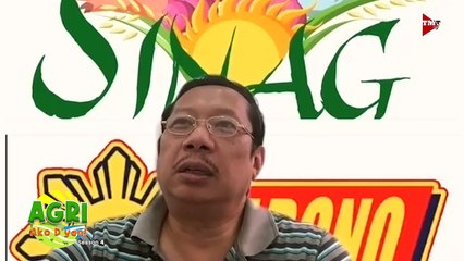 Soil Analysis for Better Crops 🌱