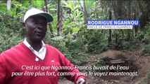 Cameroun: Francis Ngannou, star mondiale du MMA et fierté de son pays
