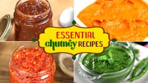 4 Must-Have Chutney Recipes | Mint Chutney | Tamarind Chutney | Garlic Chutney | Indian Dips & Sauce