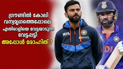 下载视频: Ravi Shastri compares Virat Kohli and Rohit Sharma | Oneindia Malayalam