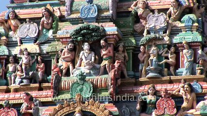 Palani hill temple, Thaipusam