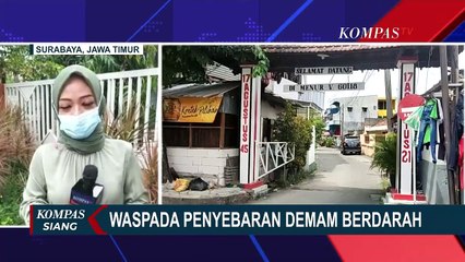 Descargar video: Waspada DBD! 15 Anak di Kota Surabaya Terserang Demam Berdarah, 1 Diantaranya Meninggal Dunia