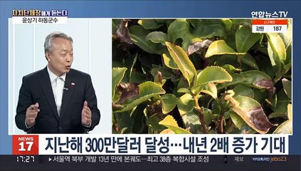 [뉴스메이커] 59년 만에 하동비행장 폐쇄 결정…하동숲 조성 예정
