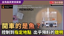 開車的是魚？控制到指定地點 「金魚腦」其實超聰明