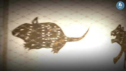 Horoscope chinois du jour du samedi 5 février 2022, le Boeuf de Terre (1)