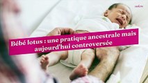 Bébé lotus : une pratique ancestrale mais aujourd'hui controversée