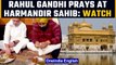 Rahul Gandhi prays at Harmandir Sahib to kickstart Punjab visit | Oneindia News