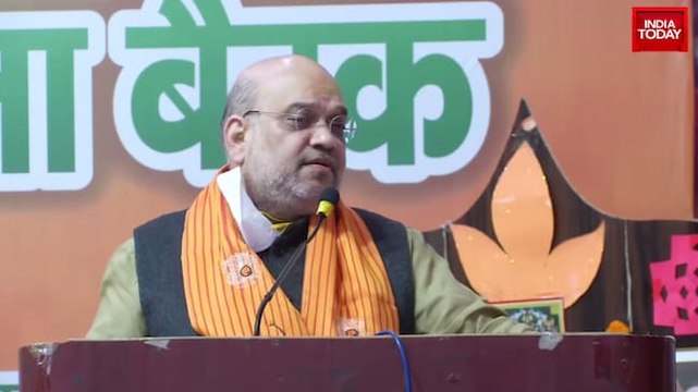 BSP, SP worked for caste, BJP works for overall development: Amit Shah in Mathura