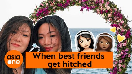 TLDR: What are platonic life partnerships?