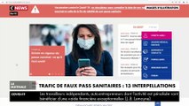 Treize personnes suspectées de participer à un réseau de faussaires qui a établi plus de 60.000 pass sanitaires falsifiés interpellées dans les régions lyonnaise et parisienne