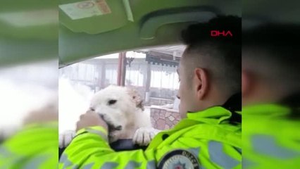 POLİS, KRAKERLE KÖPEĞİ BESLEDİ