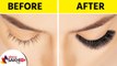 सुंदर आणि दाट पापण्यांसाठी करा हा उपाय | How to Get Beautiful Eyelashes Naturally | Lokmat Sakhi