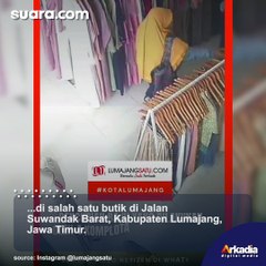 Komplotan Emak-emak Kompak Curi Baju di Butik di Lumajang, Aksinya Terekam CCTV