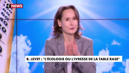 Bérénice Levet : «Quelle est l'idée de l'homme dont les écologistes entendent nous faire vivre?»