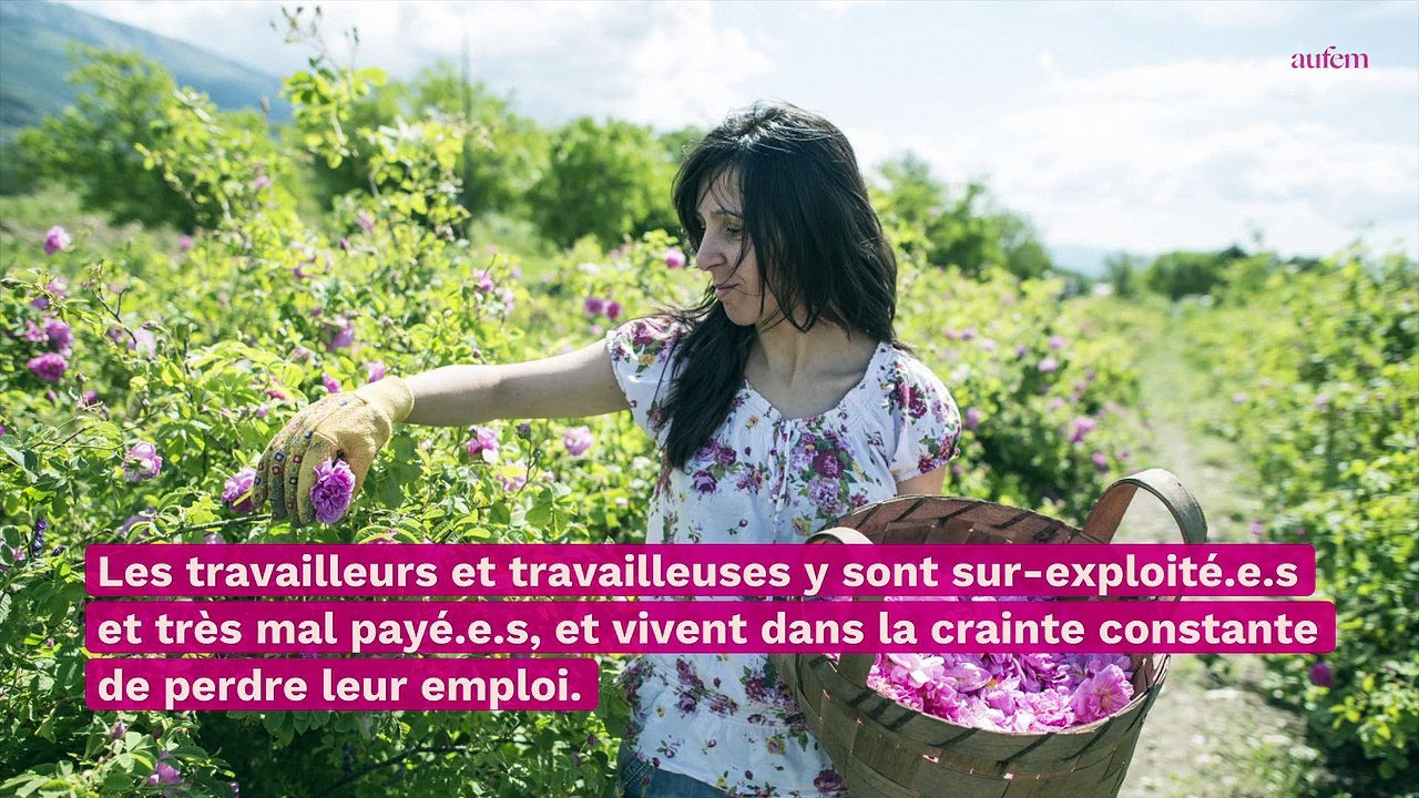 Saint-Valentin : Pourquoi il ne faut pas offrir de roses pour déclarer sa flamme ?