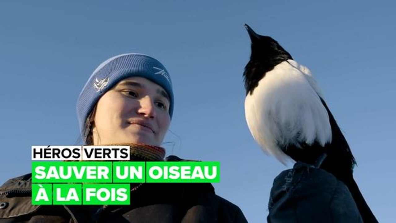 Héros verts : le sauvetage d'oiseaux