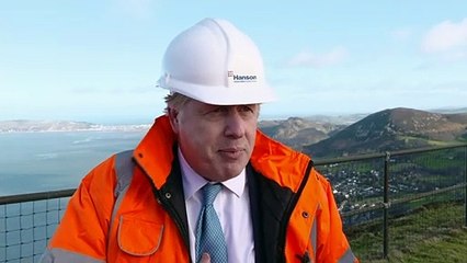 Johnson: Afghan pet evacuation claims are 'total rhubarb'