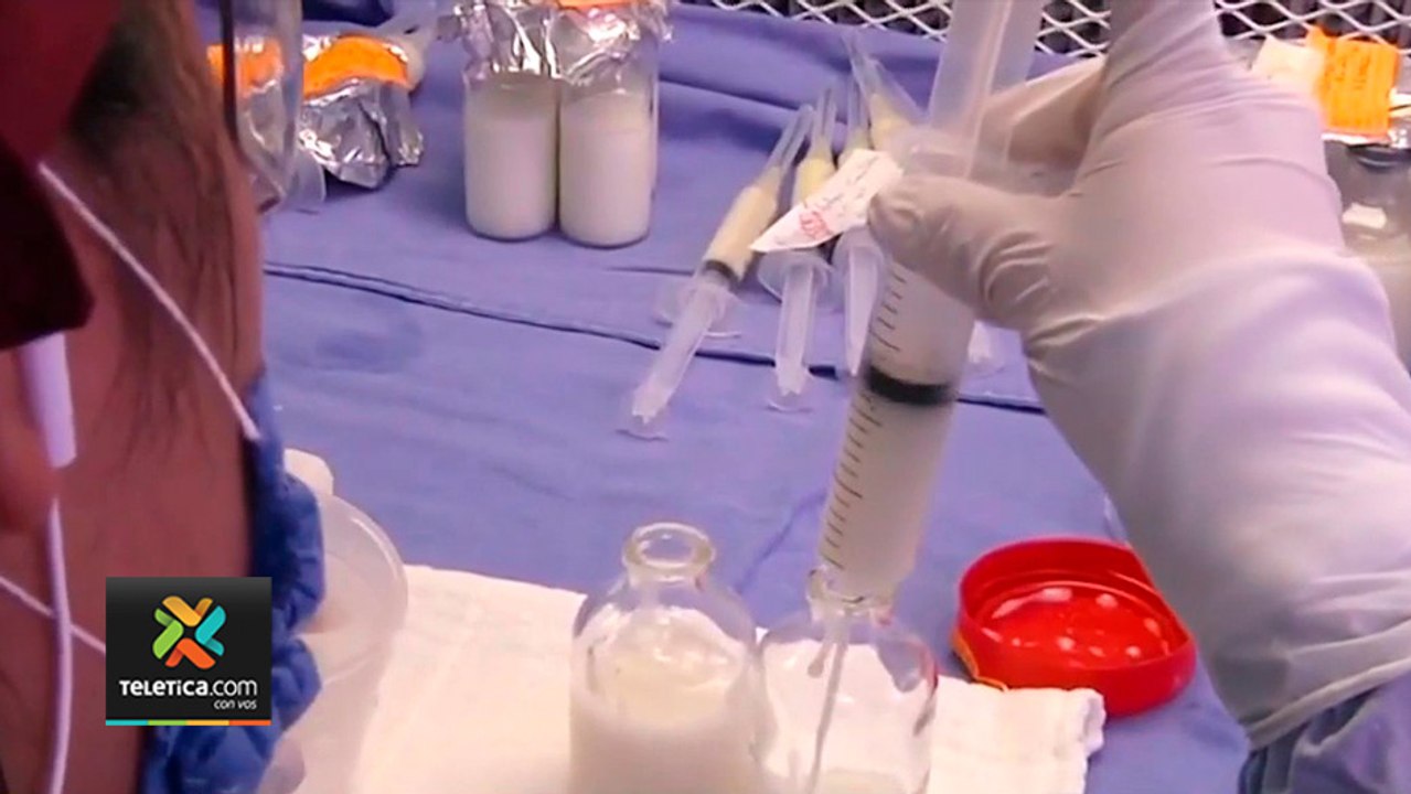 tn7-banco-de-leche-materna-esta-salicitando-donaciones-270122