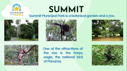 Inglés | Curso de verano 26-01-2022