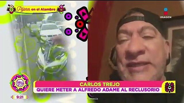 Carlos Trejo reacciona a pleito callejero de Alfredo Adame