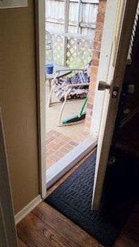 Koda Pulls Daisy Outside to Play by Her Ear