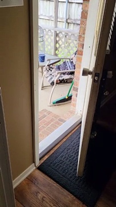 Koda Pulls Daisy Outside to Play by Her Ear