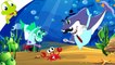 Baby Shark Doo Doo Dance Remix | 1 Hour | Nursery Rhymes for Kids