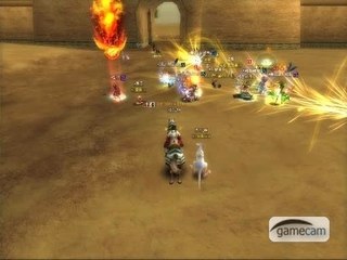 kSro Thief vs Hunter lv 100