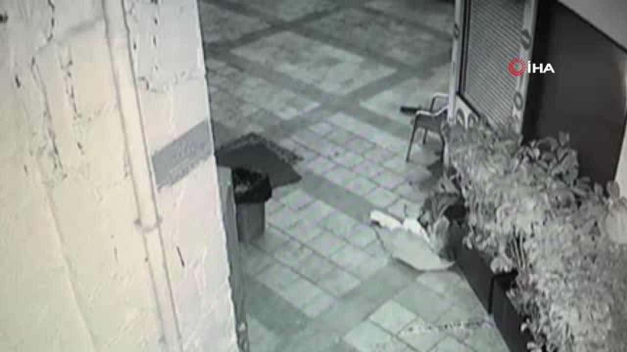 Bodrum'da yürek ısıtan görüntü...Temizlik görevlisinin şefkati kamarada