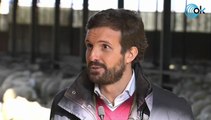 Casado dice que Tezanos «puede estar cometiendo con el CIS delitos al mandato del PSOE»