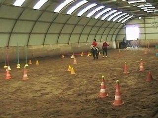 Emile 2 mars 2008 Verlinghem maniabilite