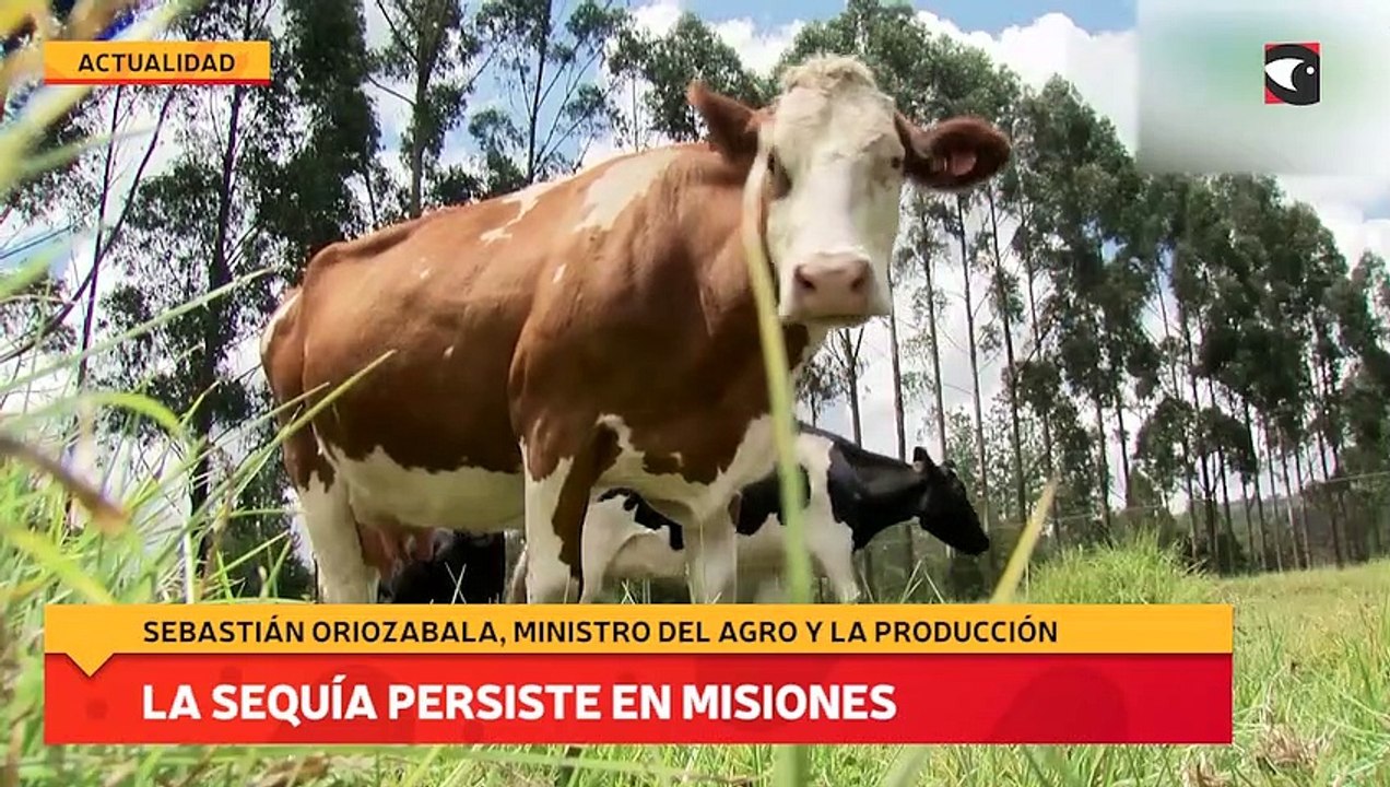 La sequía persiste en Misiones