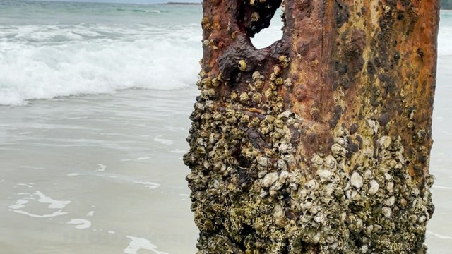 Shipwreck remains uncovered after 50 years underwater | January 28, 2022 | ACM