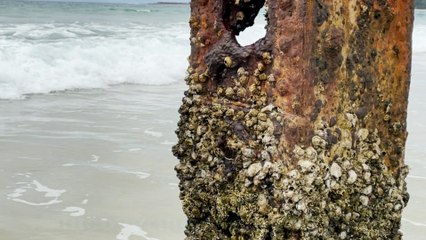 Shipwreck remains uncovered after 50 years underwater | January 28, 2022 | ACM