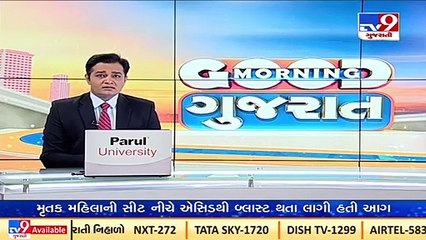 Ahmedabad _People troubled as stray cattle fight in the middle of road in Dholka _Tv9GujaratiNews