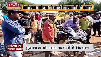 धमतरी में हजारों हेक्टेयर फसल पूरी तरह बर्बाद