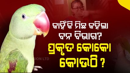 Special Story | Interesting Story Of Pet Parrot Coco In Odisha